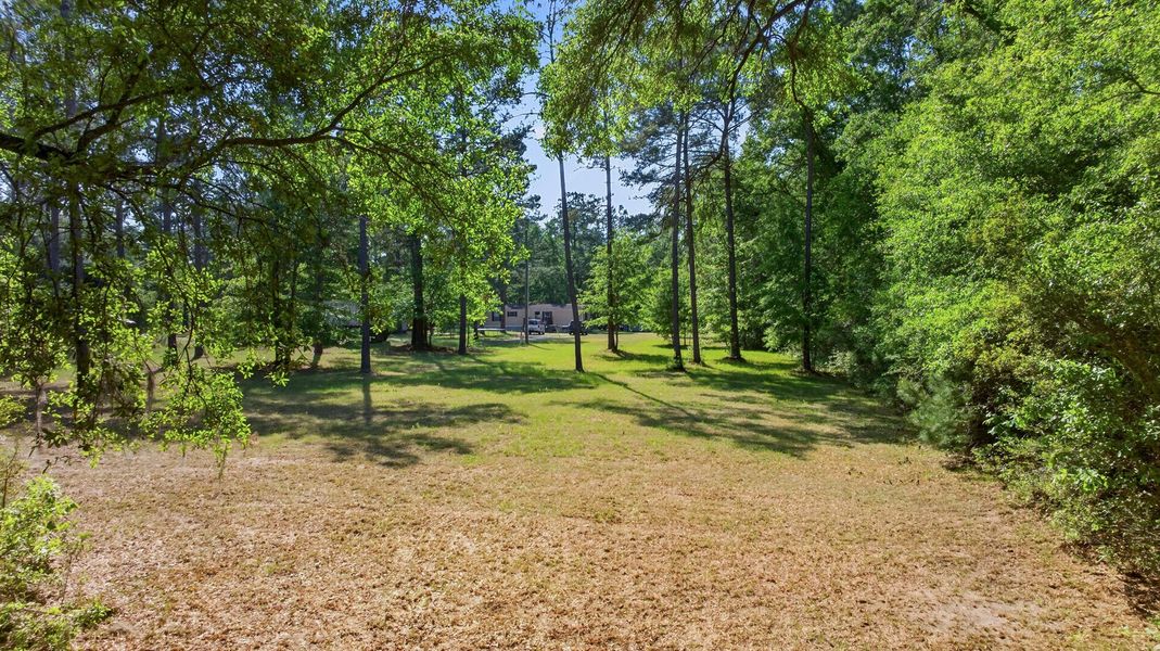 Natural landscape and outdoor views near  in Walterboro (Image 28).