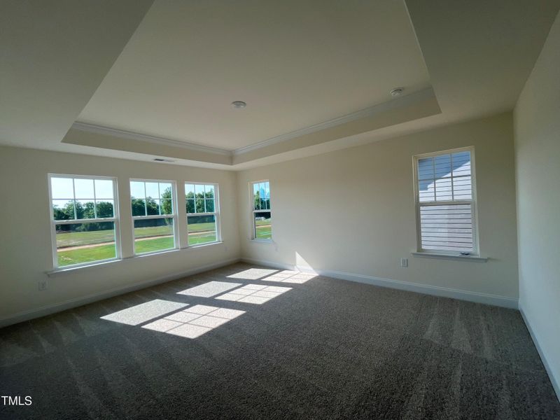 Primary Suite w/Tray Ceiling