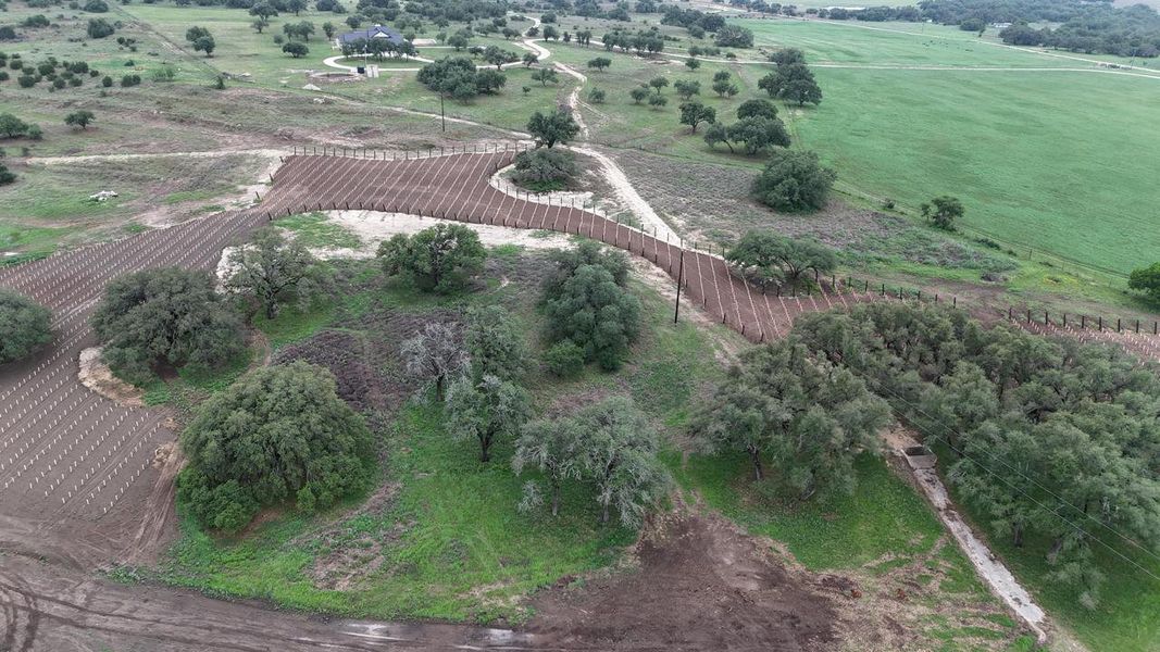 Extensive acreage featuring cultivated rows, established trees, and varied terrain