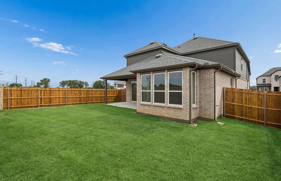 Large fenced in backyard Large fenced in backyard