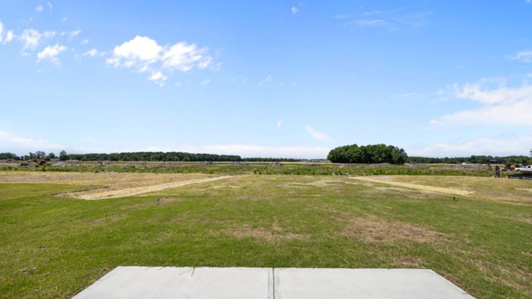 Natural landscape and outdoor views near East Ridge in Ayden (Image 36). Natural landscape and outdoor views near East Ridge in Ayden (Image 36).