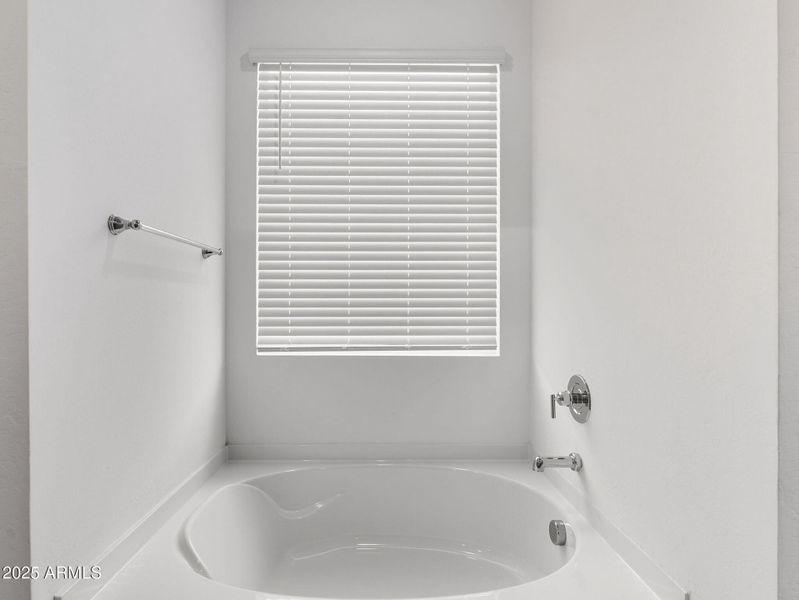 25-web-or-mls-Bee-25 25-web-or-mls-Bee-25