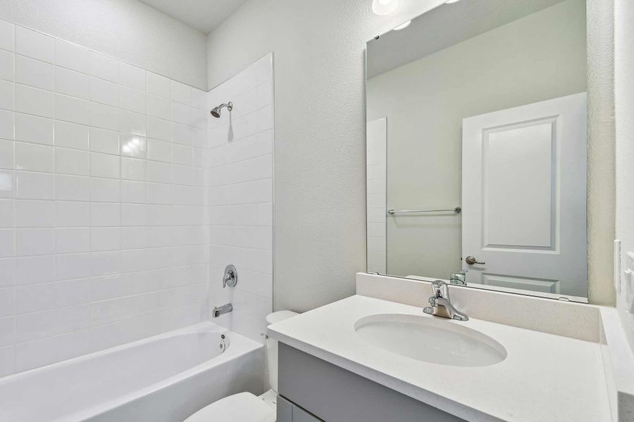 The Shelmer - Bath The Shelmer - Bath