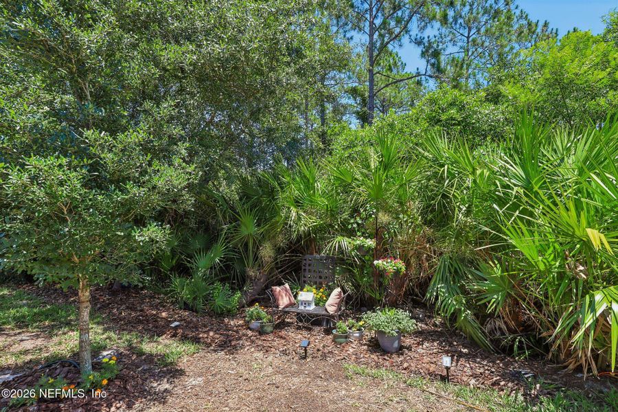 Natural landscape and outdoor views near Del Webb Nocatee in Ponte Vedra (Image 32).