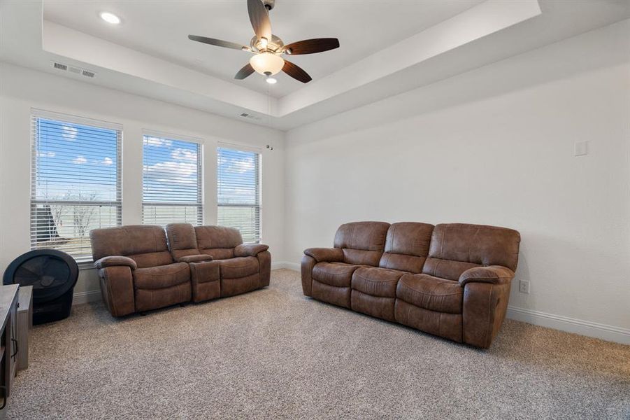 Family Room or Media Room