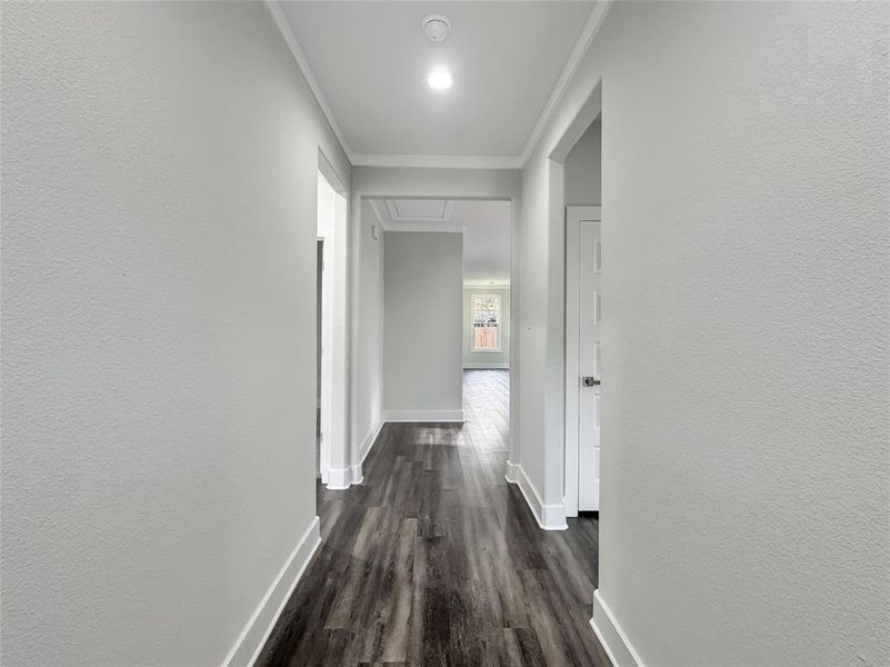 Hall with a textured wall, dark wood finished floors, and ornamental molding Hall with a textured wall, dark wood finished floors, and ornamental molding