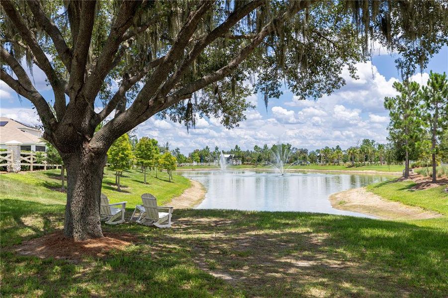 Natural landscape and outdoor views near Farm at Varrea in Plant City (Image 59).