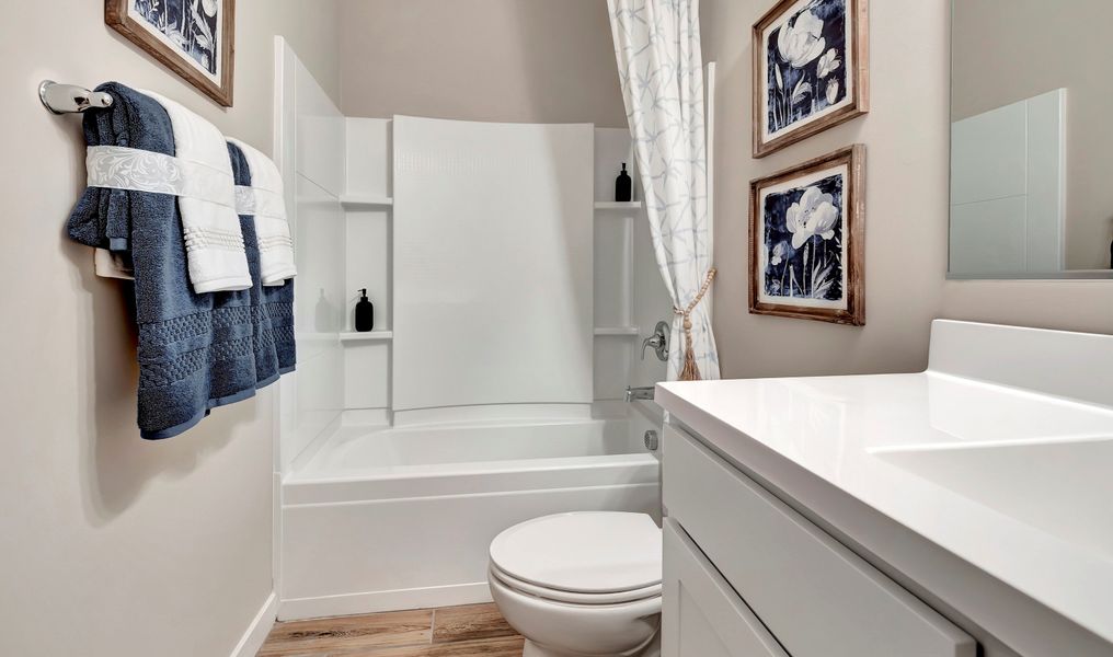 Image 26 of the The Lakes at Rancho El Dorado community in Maricopa, AZ.