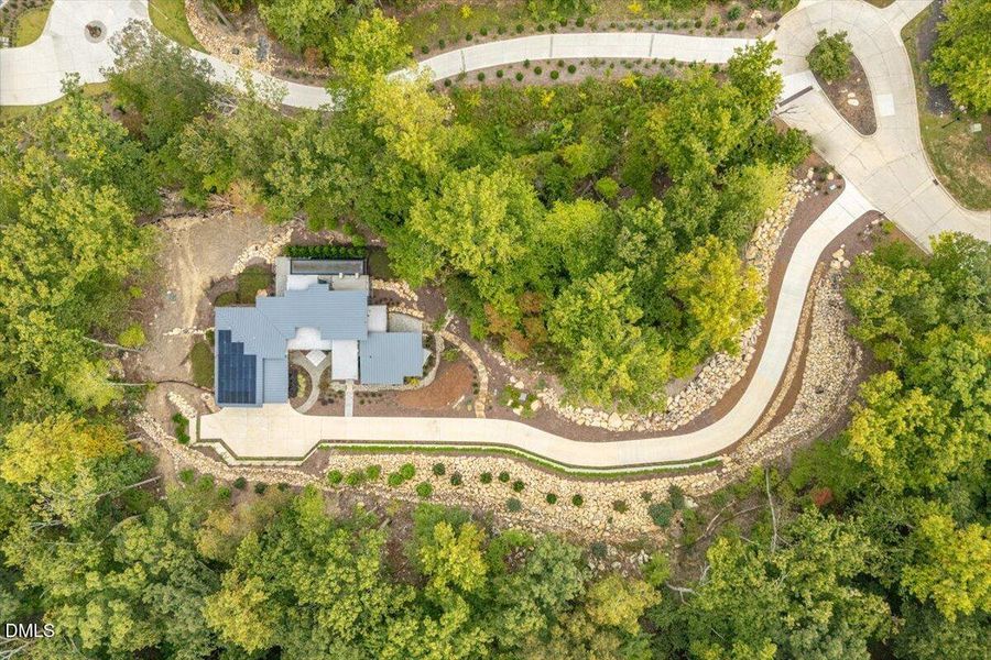 097-23930 Cherry-Drone 08