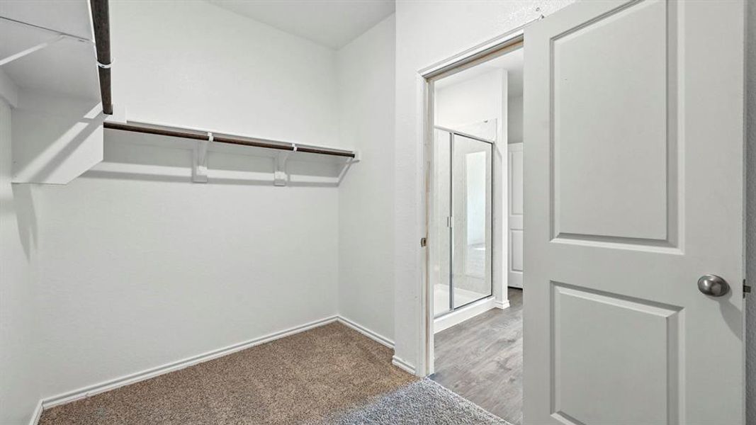 Walk-in closet featuring carpet flooring, built-in shelving, and a hanging rod