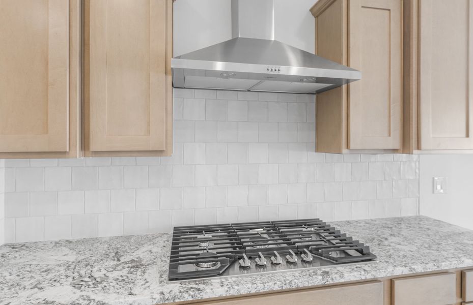 Close-up of interior finishes inside a home in Sun City Festival, Buckeye (Image 14).