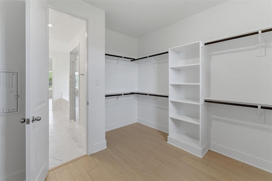 Spacious walk-in closet featuring light wood-finish flooring, white walls, and built-in shelving Spacious walk-in closet featuring light wood-finish flooring, white walls, and built-in shelving