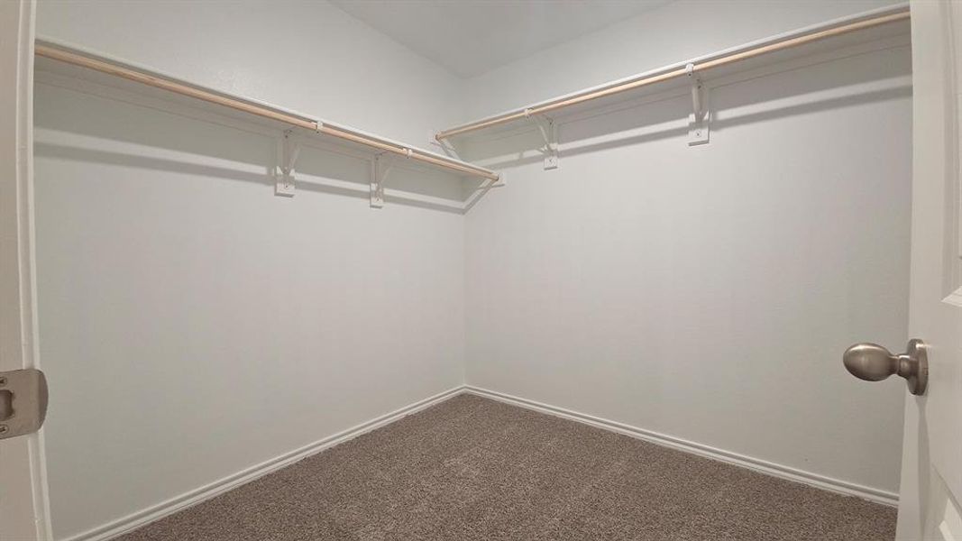 Walk-in closet featuring light-colored walls, carpet flooring, and two levels of built-in shelving with hanging rods