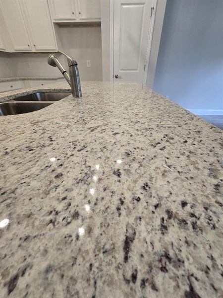 Close-up of interior finishes inside a home in Morning Creek Forest, College Park (Image 9).