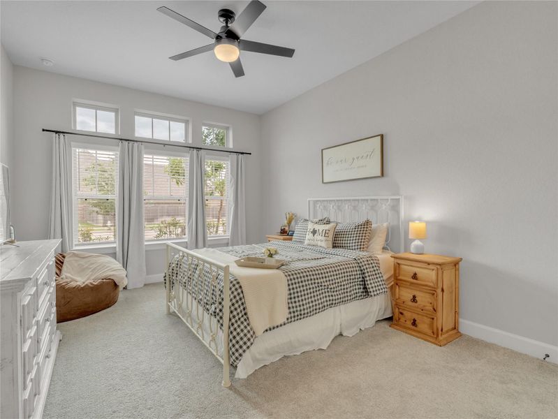 Downstairs Guest Bedroom Downstairs Guest Bedroom
