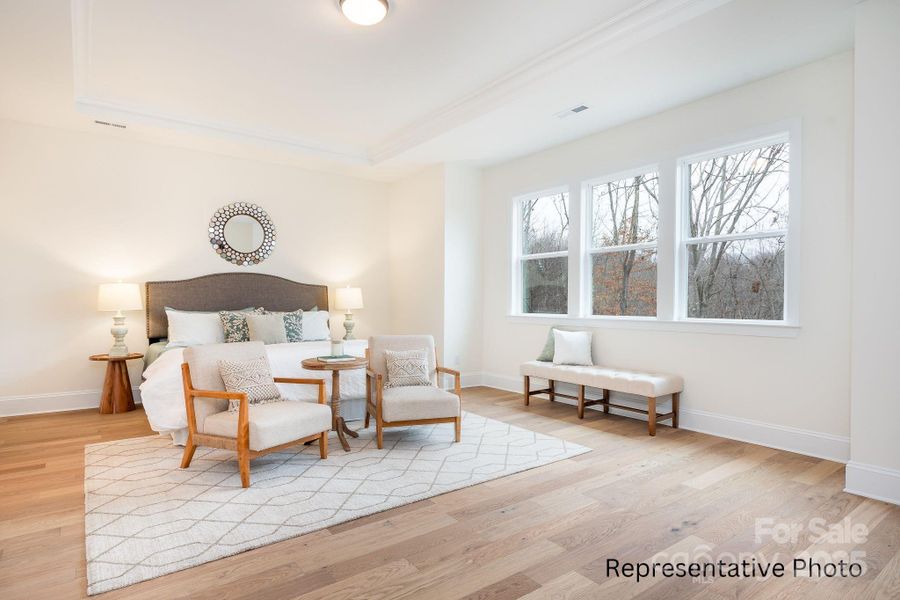 Furnished interior view inside a new home in Shepherds Trace, Clover (Image 9).