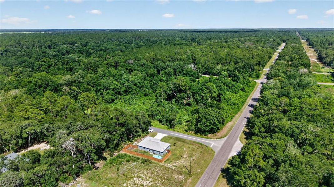 Natural landscape and outdoor views near in Ocala (Image 53). Natural landscape and outdoor views near in Ocala (Image 53).