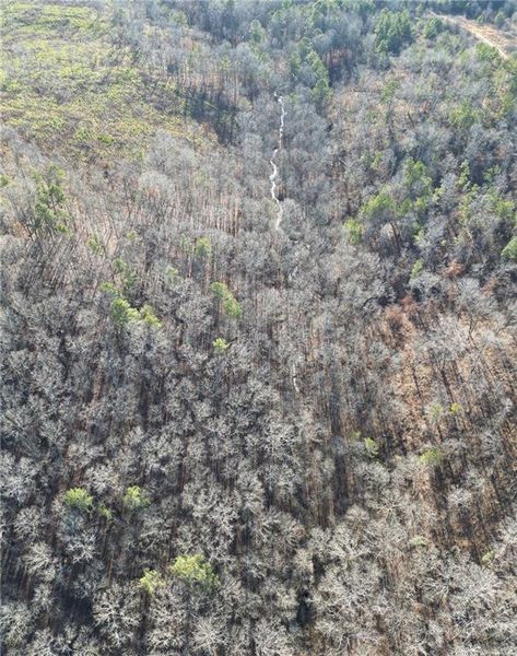 Natural landscape and outdoor views near  in Cumming (Image 31).