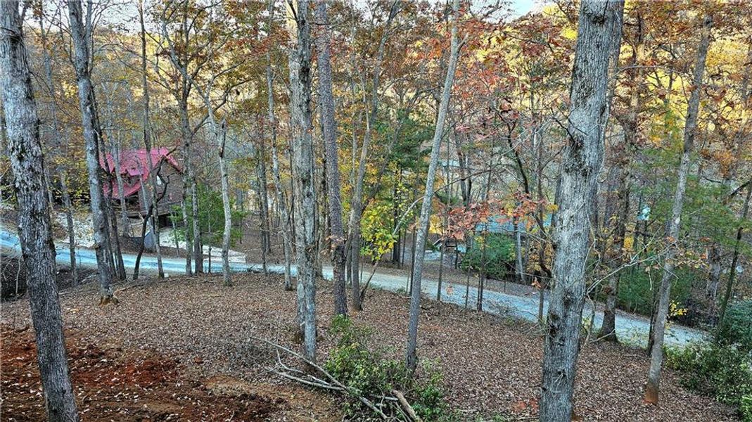 Natural landscape and outdoor views near  in Ellijay (Image 27).