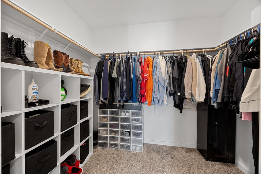 Walk in closet featuring carpet floors