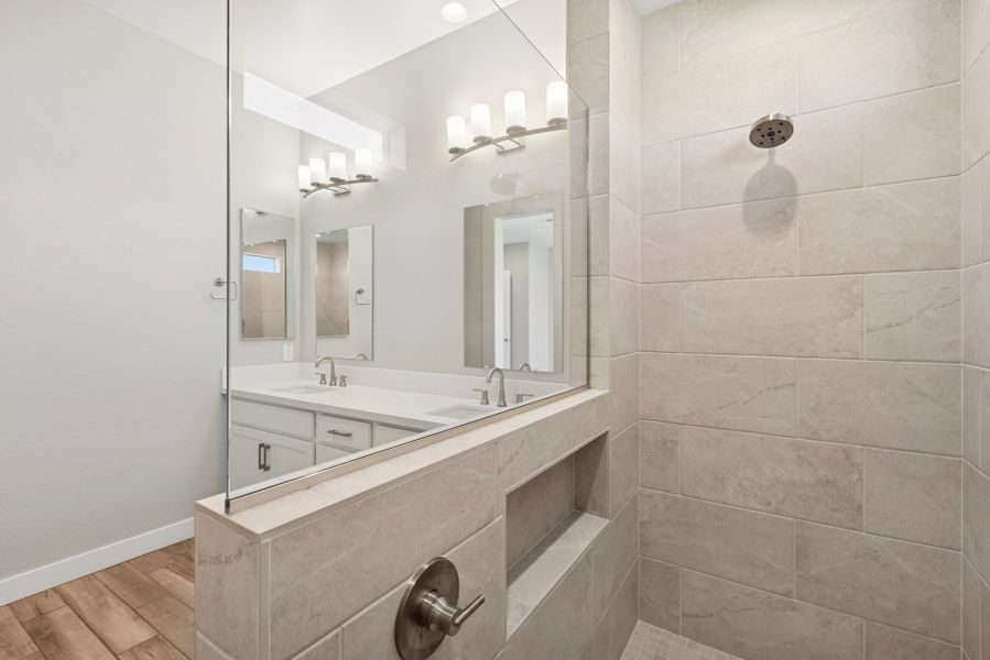 Owner's Bath