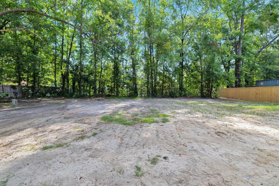 Natural landscape and outdoor views near  in Cross (Image 31).