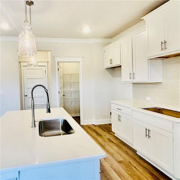 Furnished interior view inside a new home in Rosewood Lake Estates, Hoschton (Image 4).