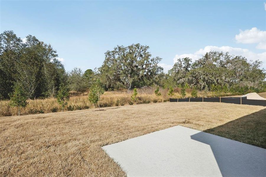 Natural landscape and outdoor views near Leyland Preserve - Classic Series in Brooksville (Image 34).