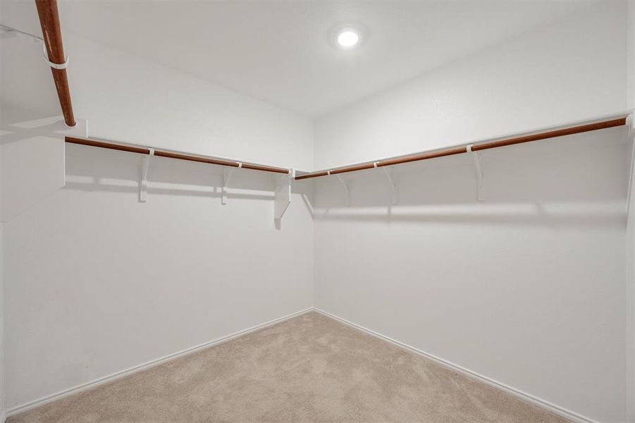 Spacious walk-in closet featuring white walls, light-toned carpet flooring, a recessed ceiling light, and extensive built-in shelving with hanging rods