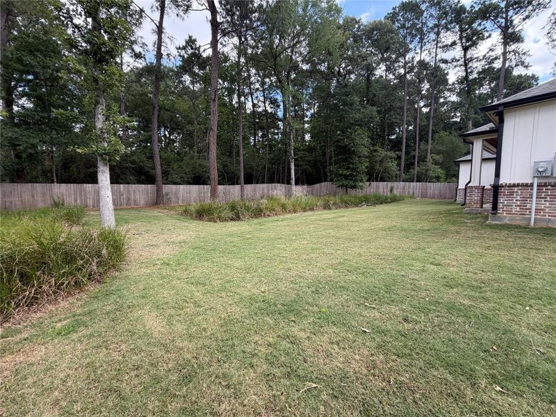 Natural landscape and outdoor views near  in Magnolia (Image 44).