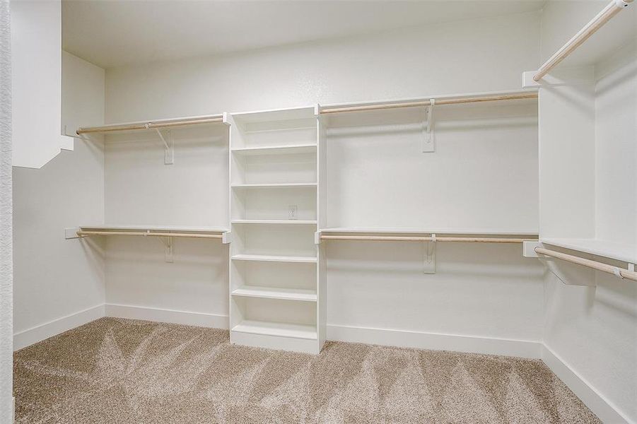 Walk in closet featuring carpet flooring