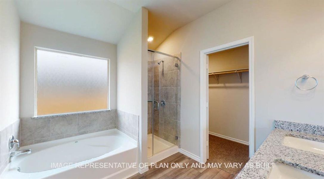 Bathroom featuring light wood finished floors, a shower stall, a bath, a walk in closet, and vaulted ceiling Bathroom featuring light wood finished floors, a shower stall, a bath, a walk in closet, and vaulted ceiling