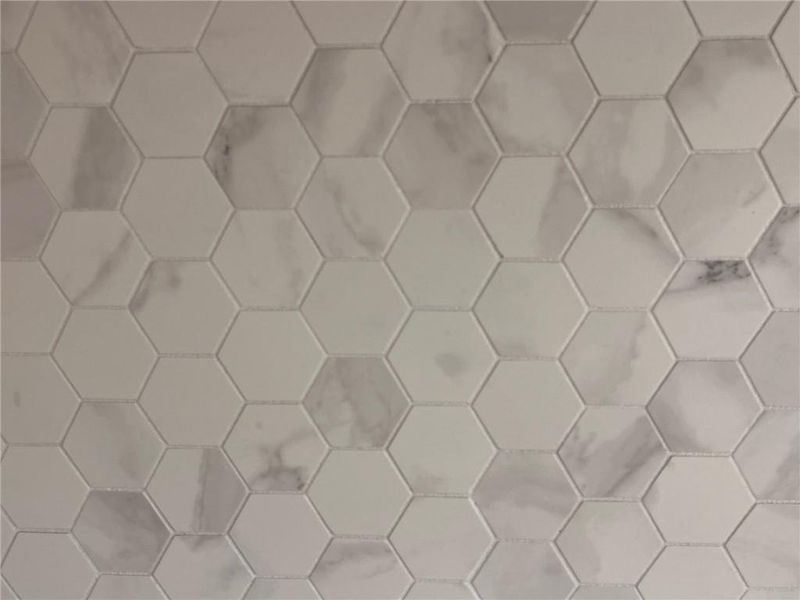 Image 40 of a home in Governors Parc.