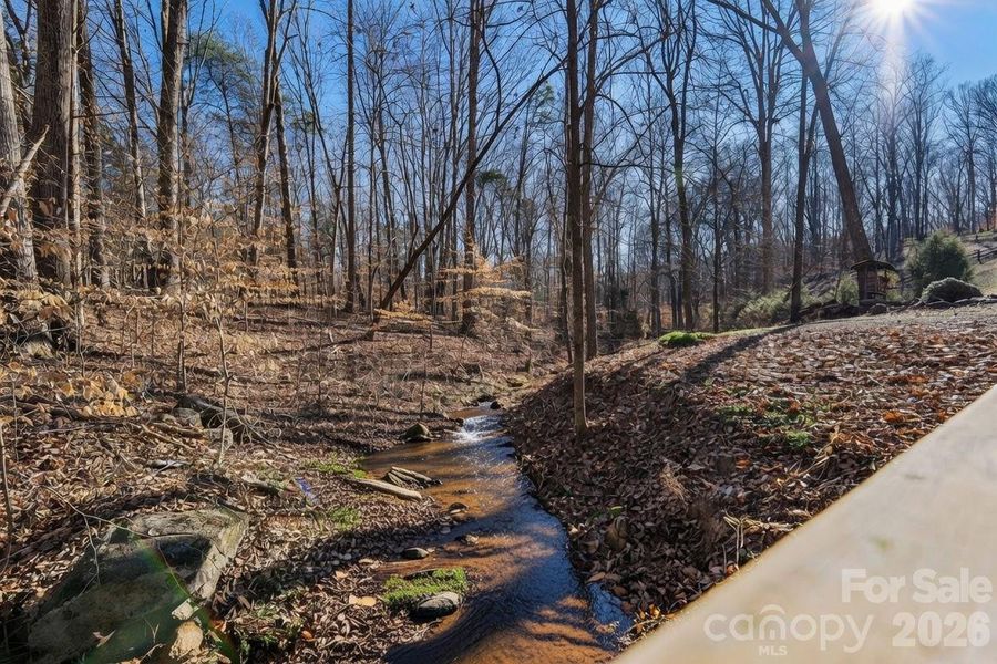 Natural landscape and outdoor views near  in Davidson (Image 35).