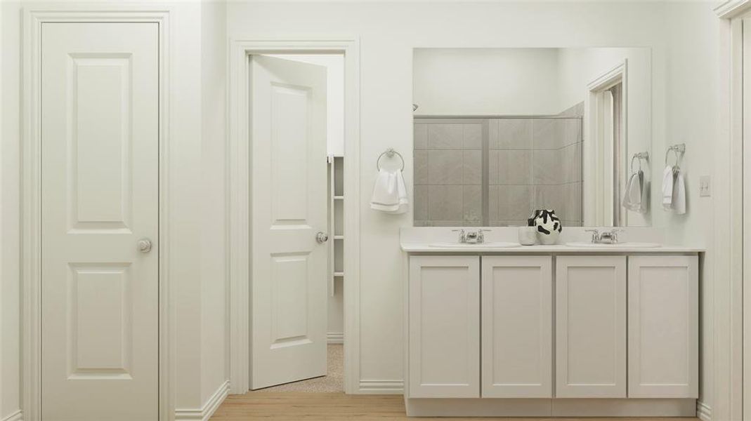 Bathroom featuring wood-type flooring and vanity