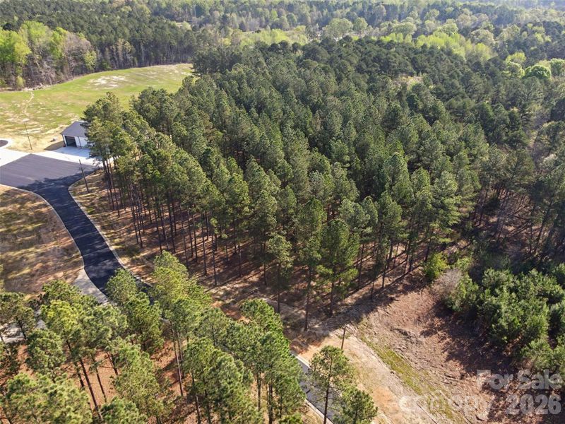 Natural landscape and outdoor views near  in Concord (Image 28).