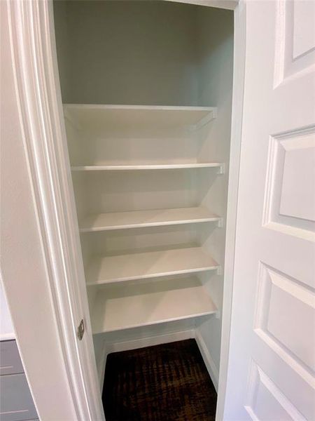 Kitchen pantry with shelving