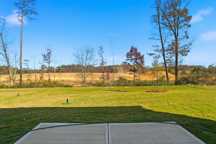 Natural landscape and outdoor views near Waxhaw Landing in Monroe (Image 34).