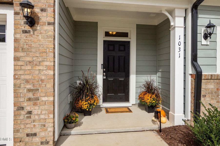 25-web-or-mls-P1090995