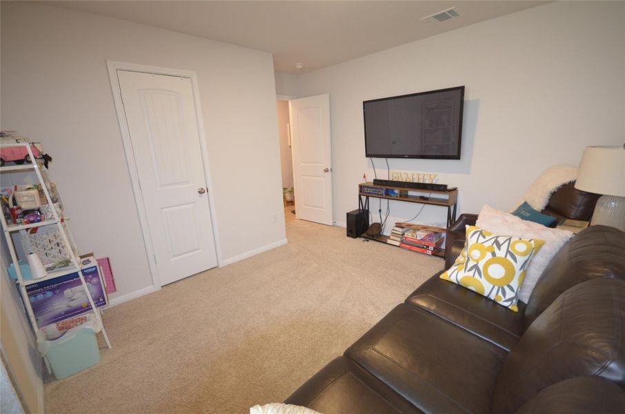 Carpeted living area with baseboards Carpeted living area with baseboards