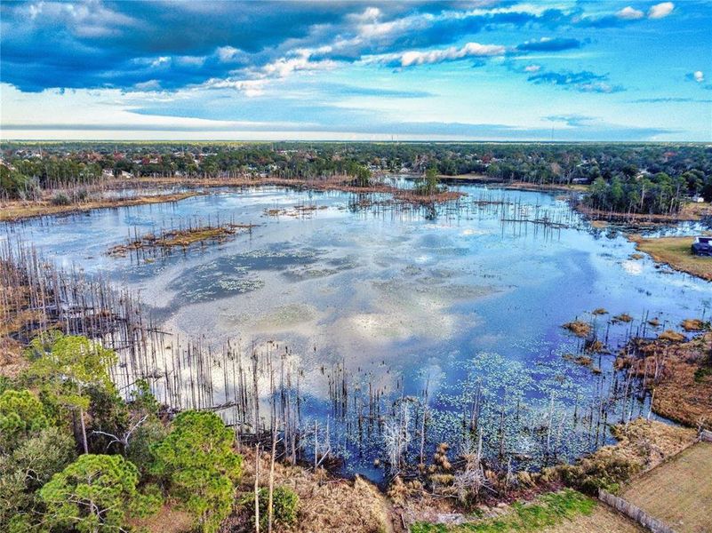 Natural landscape and outdoor views near  in Deltona (Image 42).