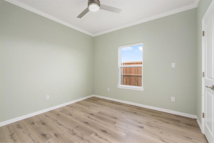 Empty room featuring ornamental molding, ceiling fan, and light wood-type flooring