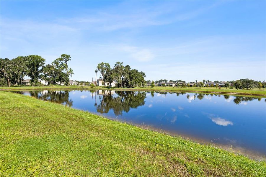 Natural landscape and outdoor views near New Home Communities Near Tampa, Ocala, and Orlando, Florida in Lithia (Image 47). Natural landscape and outdoor views near New Home Communities Near Tampa, Ocala, and Orlando, Florida in Lithia (Image 47).