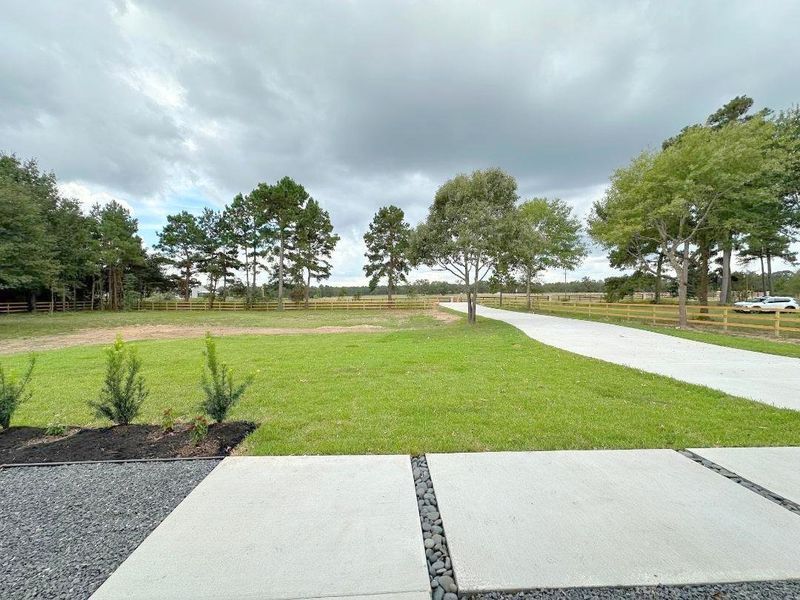 Natural landscape and outdoor views near in Plantersville (Image 25). Natural landscape and outdoor views near in Plantersville (Image 25).