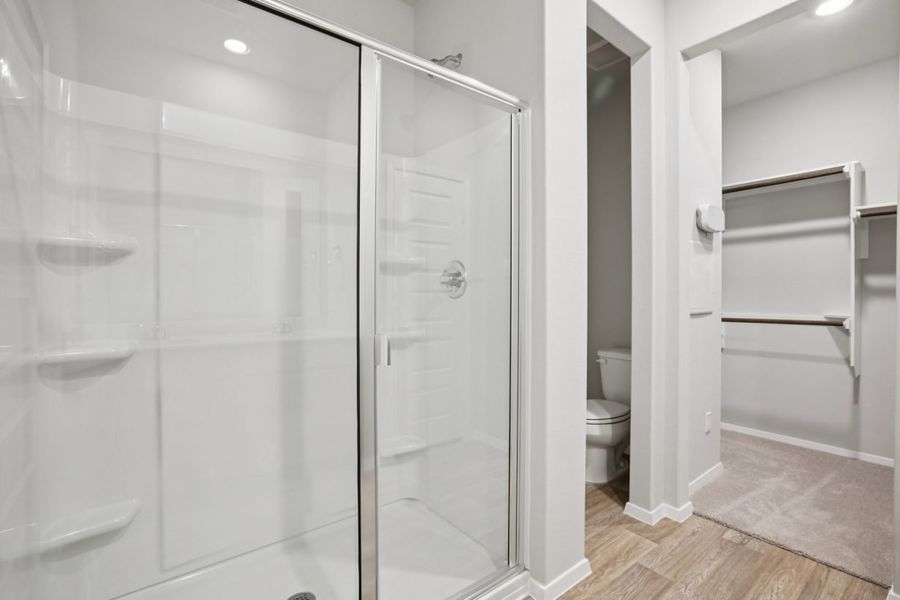 Image of a primary bathroom with light grey walls, vinyl flooring and a walk-in shower
