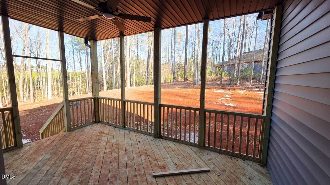 212 Rawhide (13) (Medium)