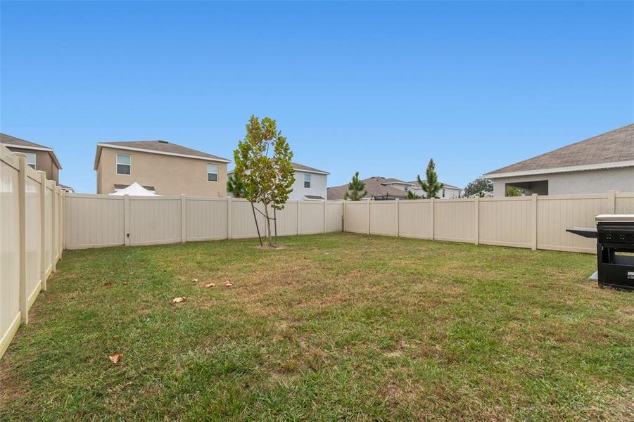 Exterior details and patio area of a home in Westgate at Avalon Park, Wesley Chapel (Image 44).
