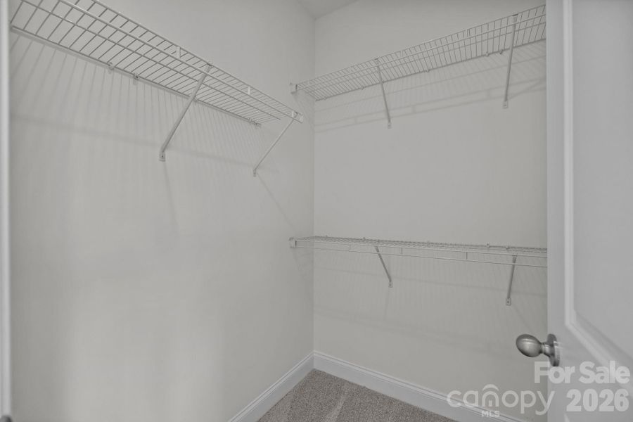 Primary Walk InRepresentative Photo