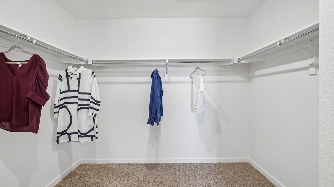 Spacious, unfurnished interior of a new home in Fossil Creek Ranch, Windsor (Image 20).