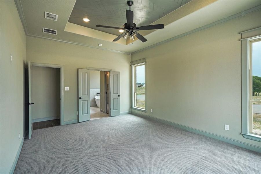 Primary bedroom with decorative tray ceiling.